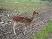 2012.04.08 Ostern Dennis&Brigi13